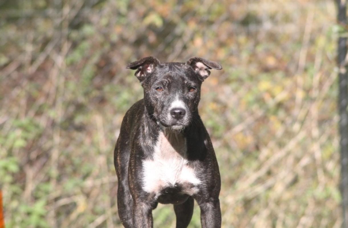 Roxy