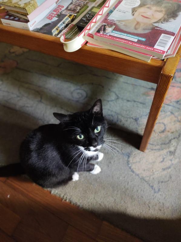 Linus