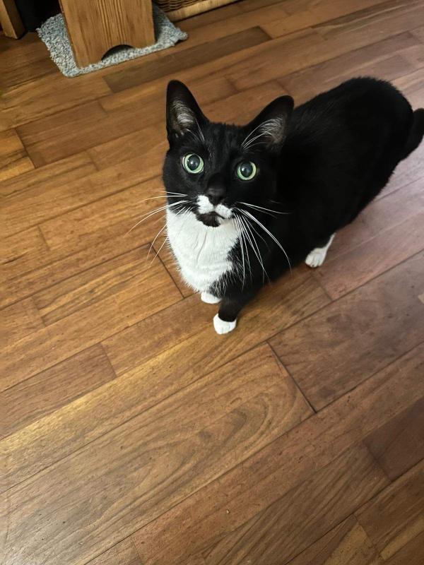 Linus