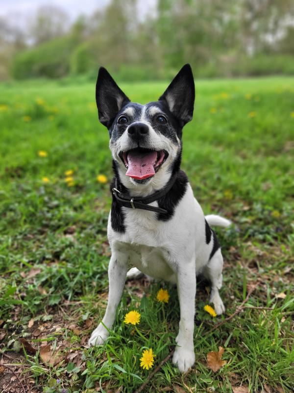 Sam