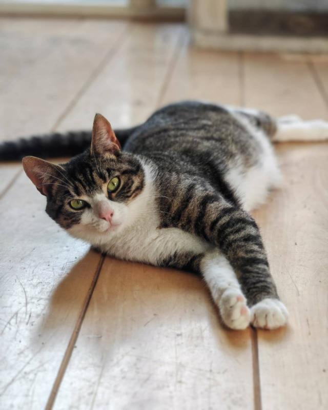Tim