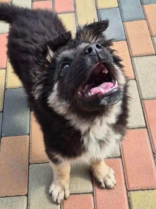 Diego