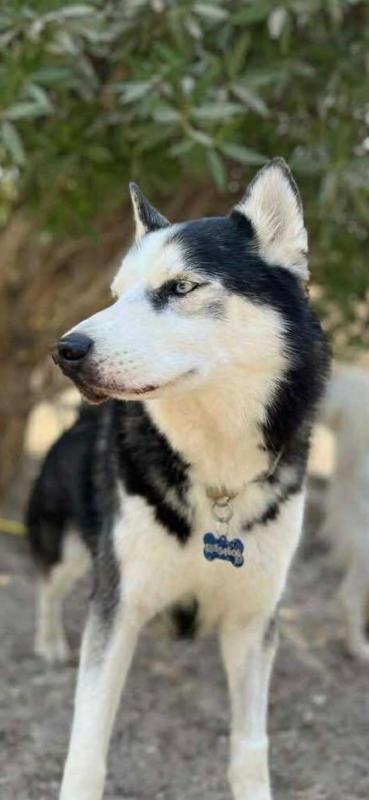 Zeus
