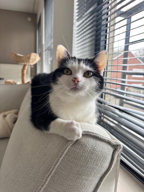 Coco