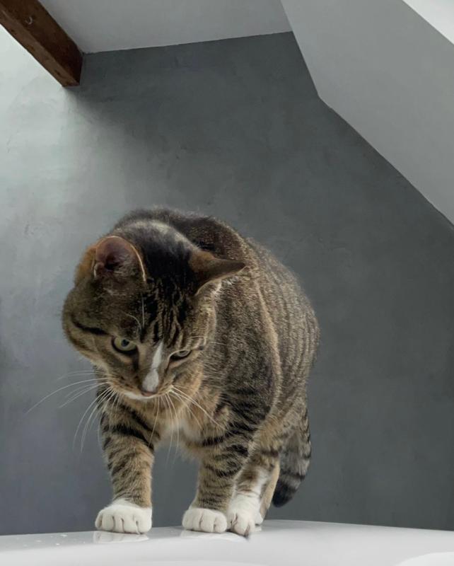 Frits