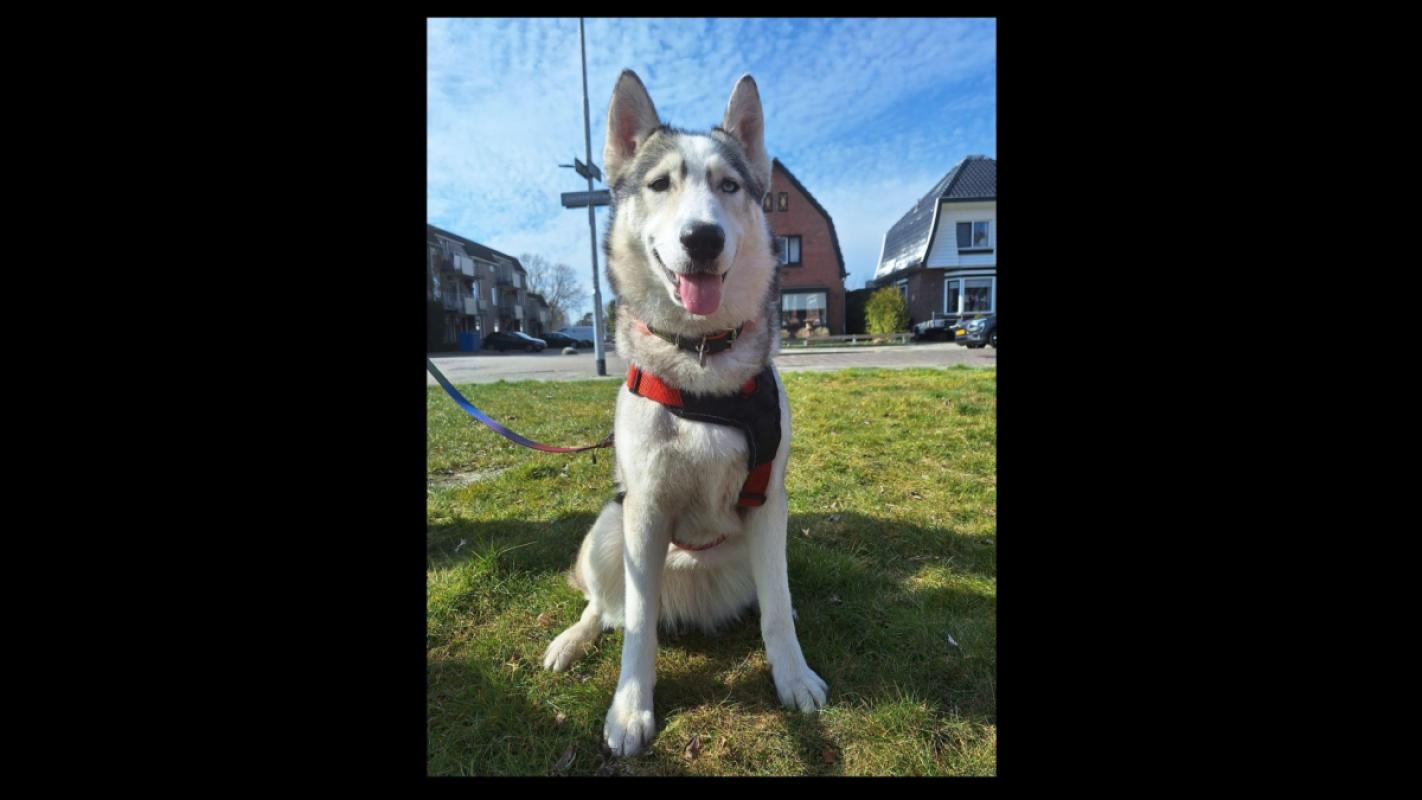 Luna
