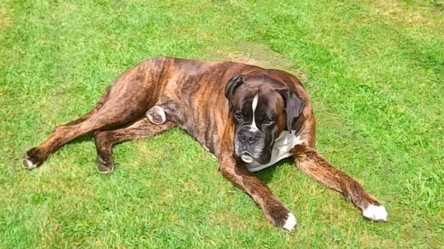 Max