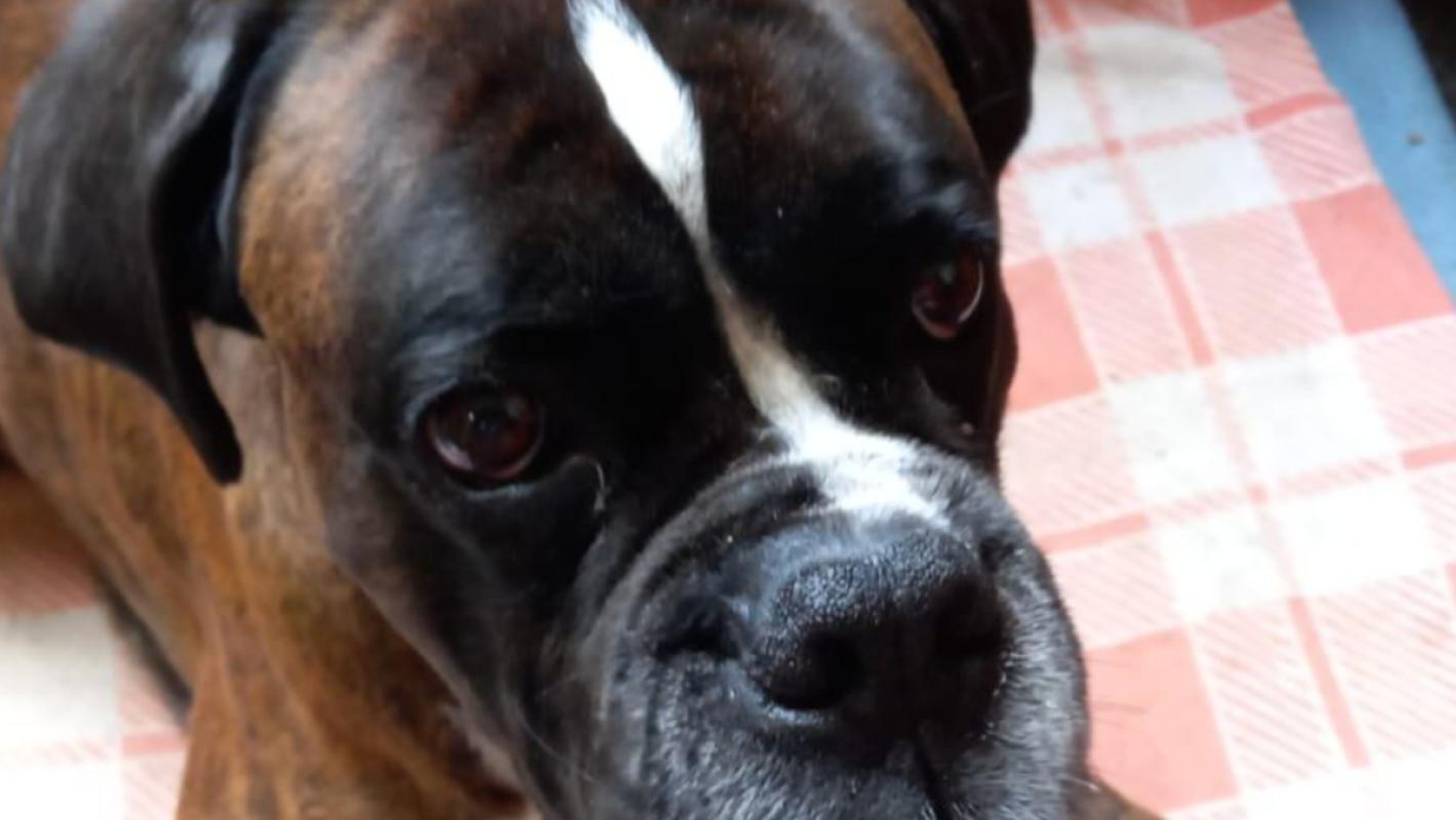 Max
