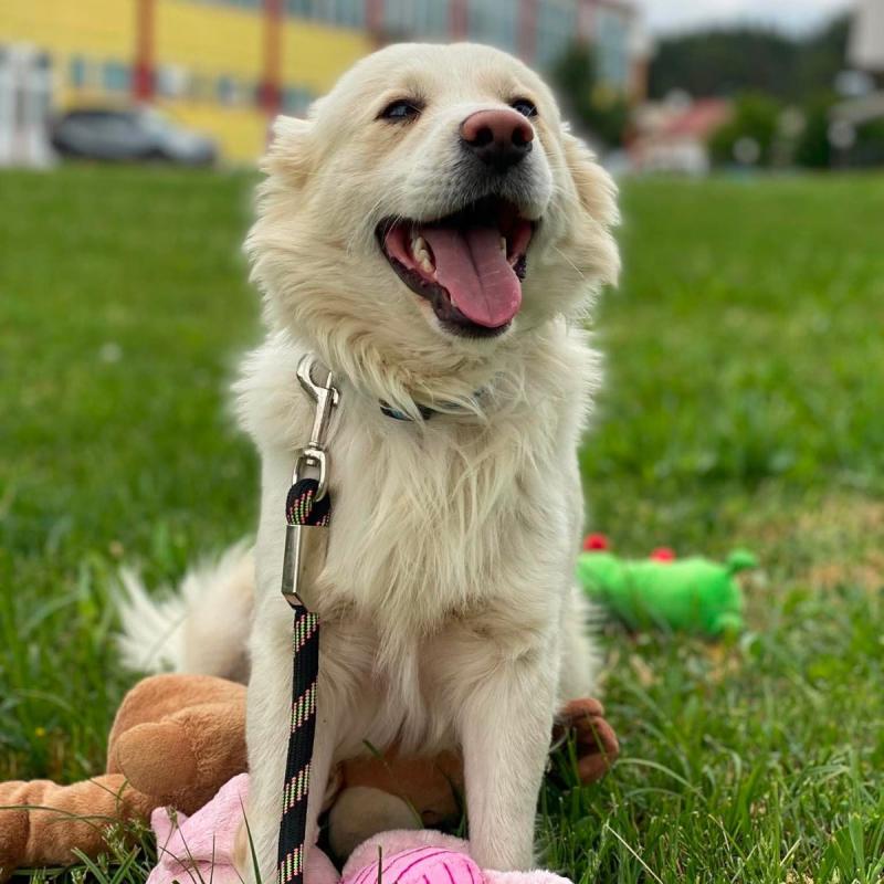Igor