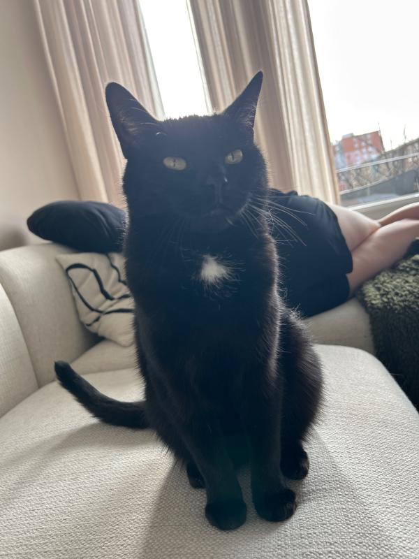 Pablo