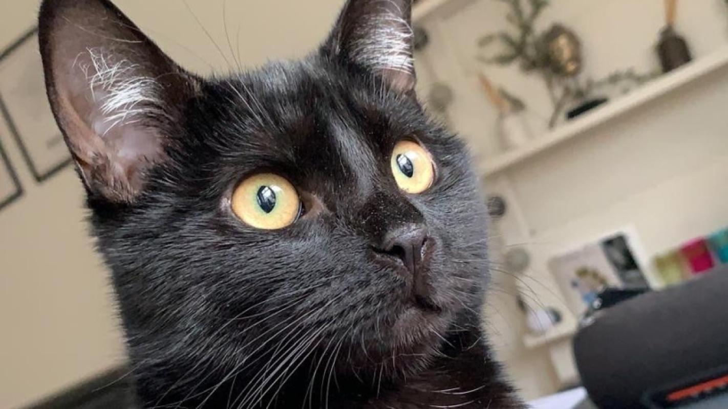 Pablo