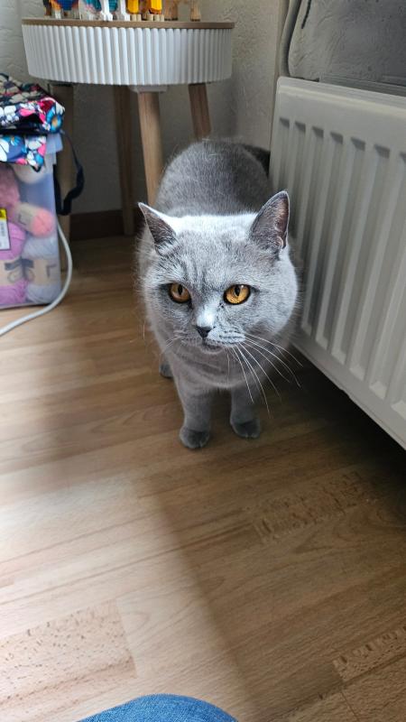 Sam
