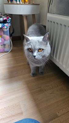Sam