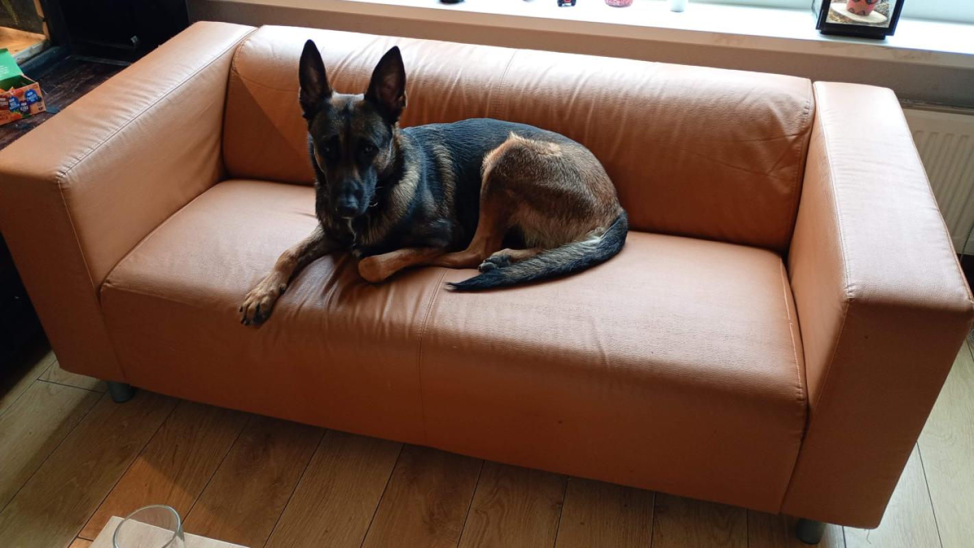 Roxy