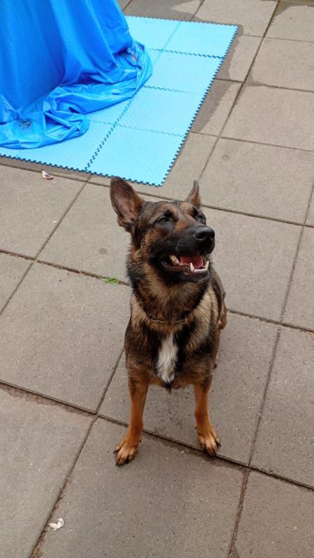 Roxy