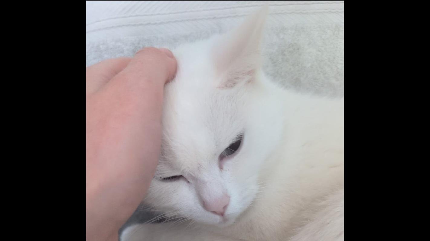 Bella
