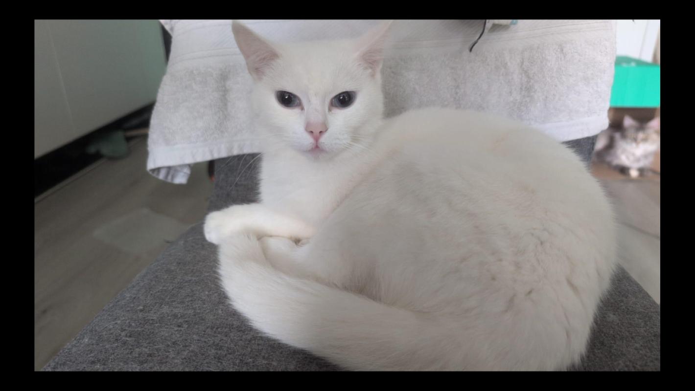 Bella