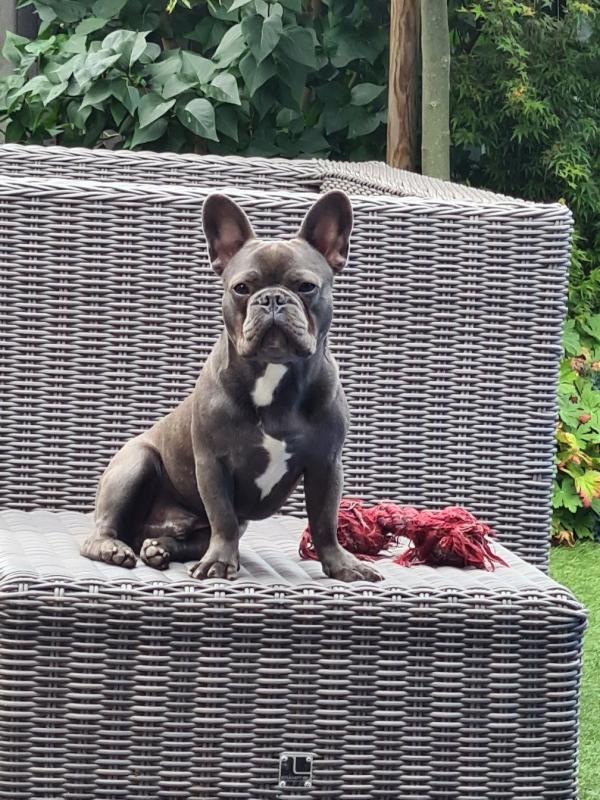 Lilo