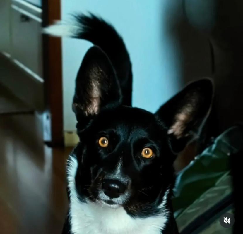 Maggie