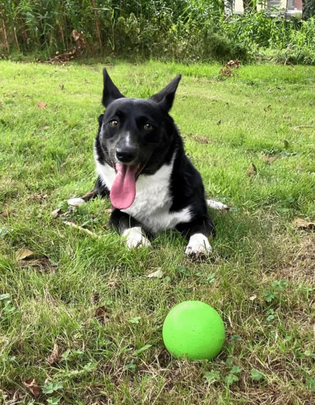 Maggie