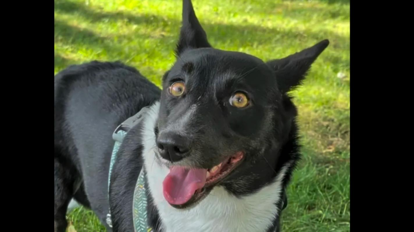 Maggie