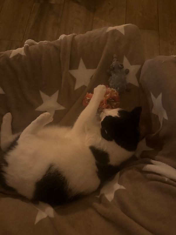 Charlie