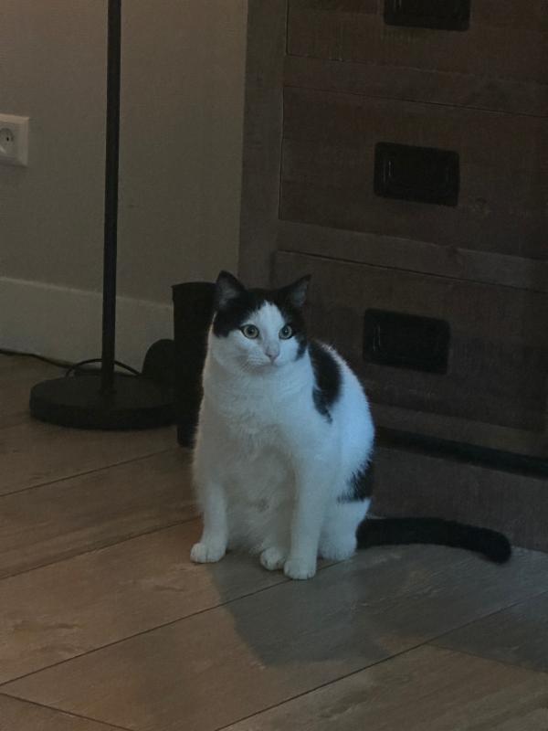 Charlie