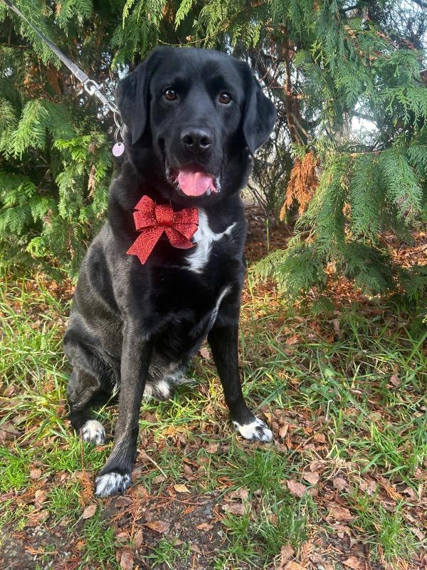 Flynn
