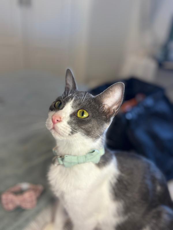 Jade