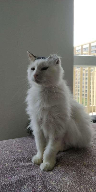 Mimi