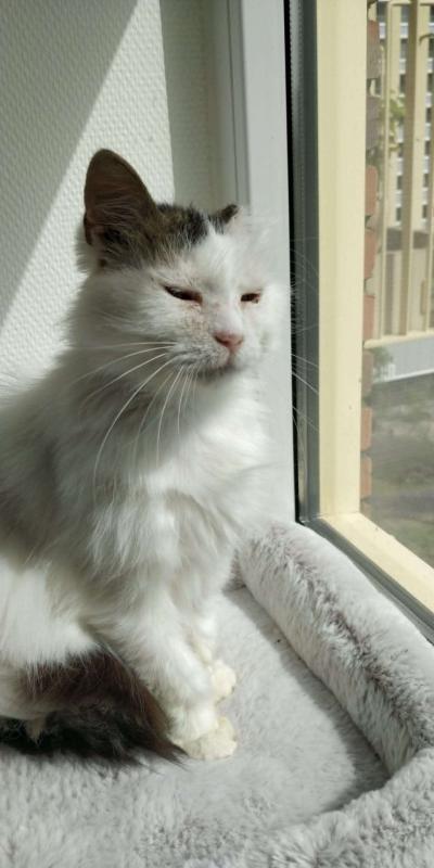 Mimi