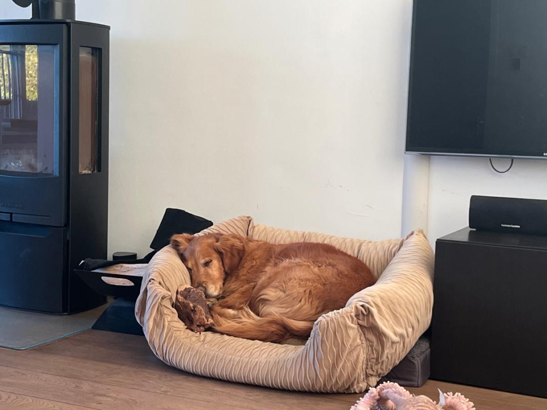 Raika