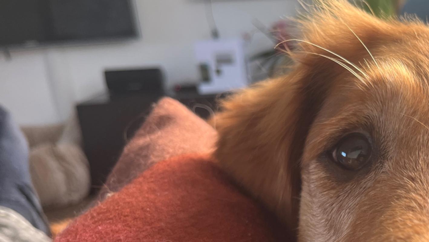 Raika