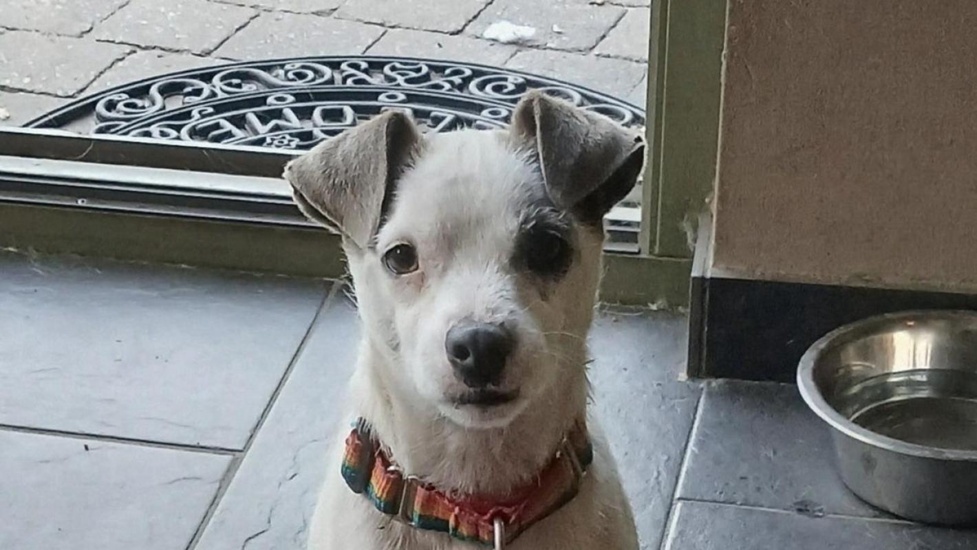 Manolo