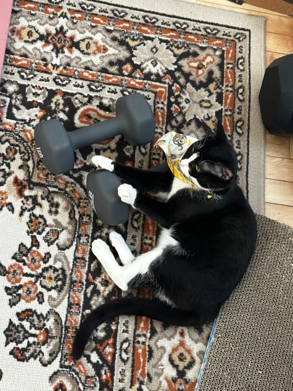 Midna