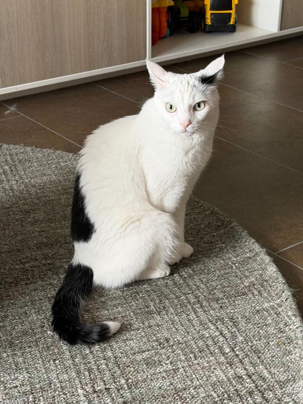 Olaf