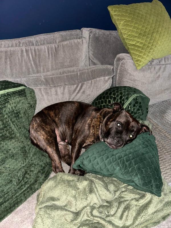 Dex