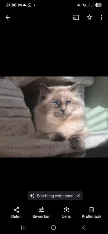 Yuki