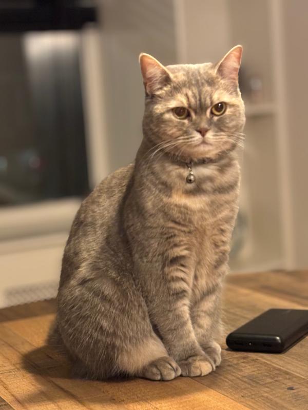 Coco