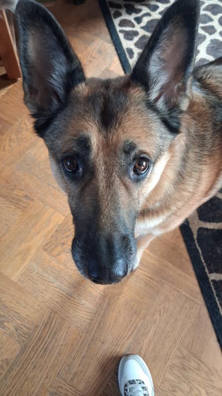 Sita