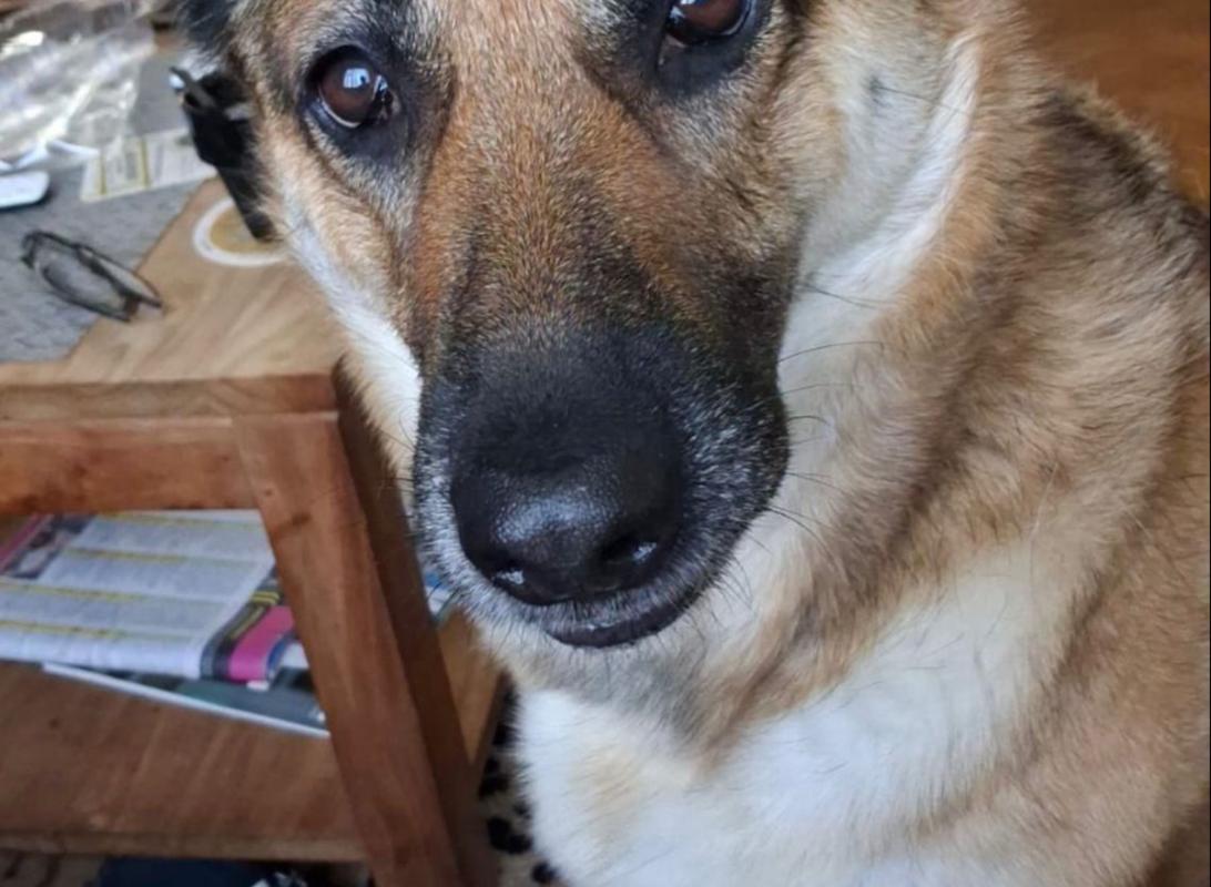 Sita