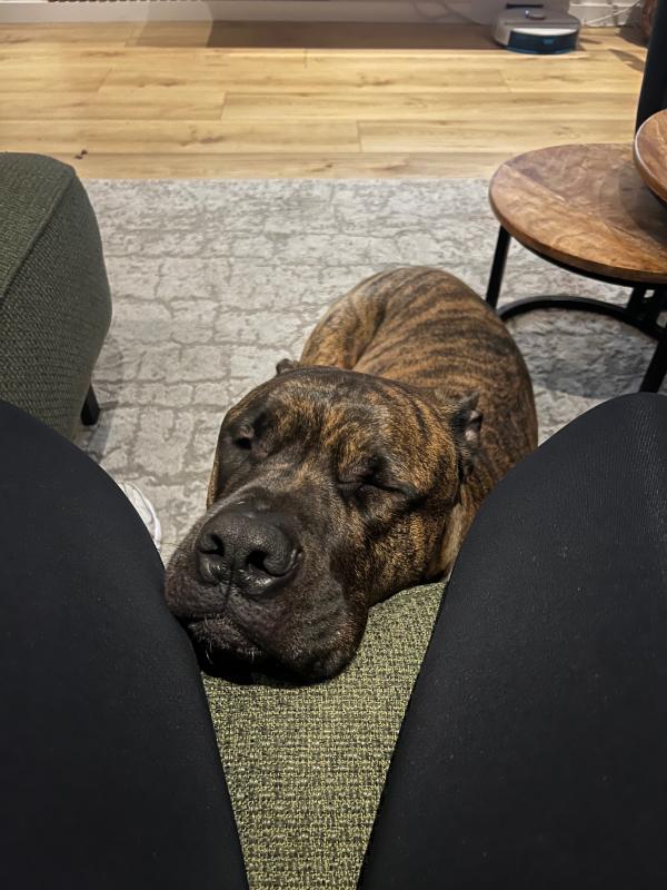 Roscoe