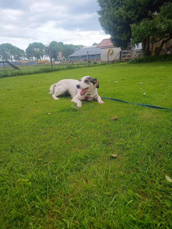 Lila