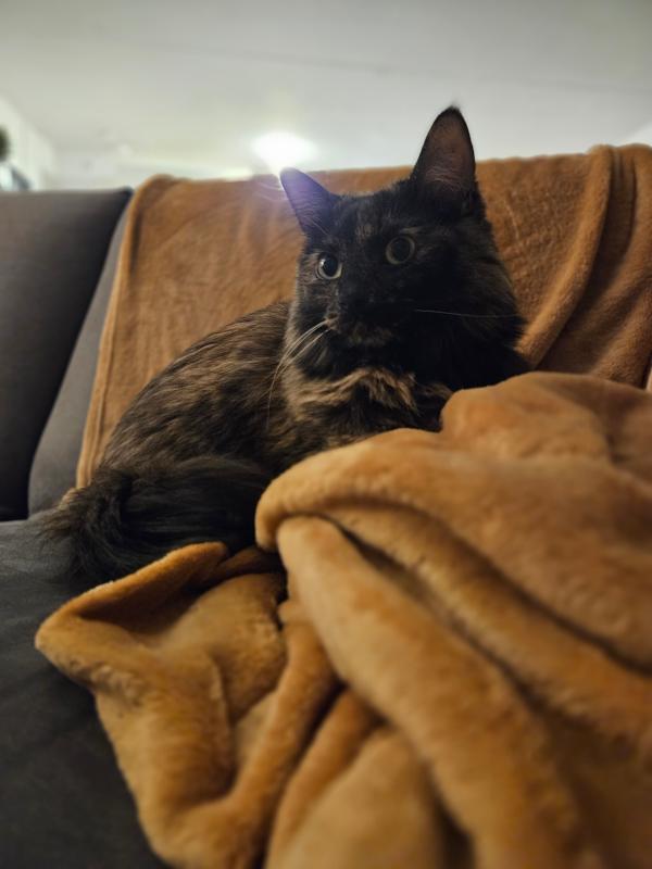 Boo