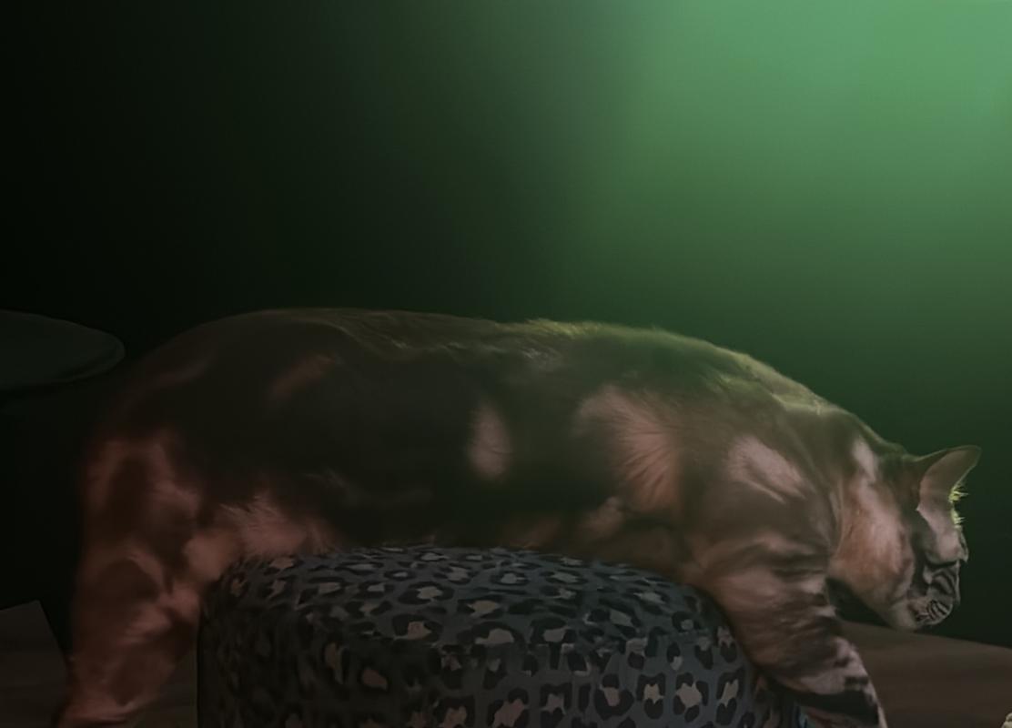 Django
