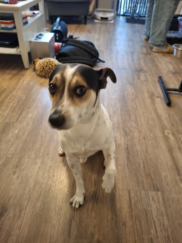 Max