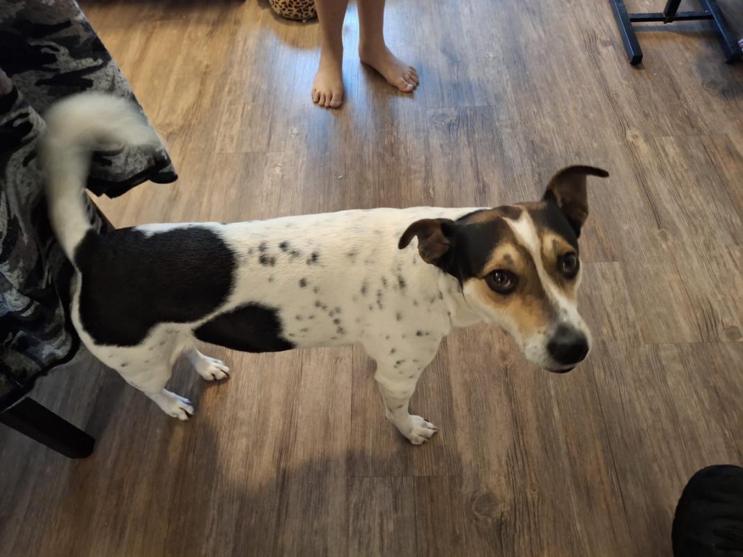 Max