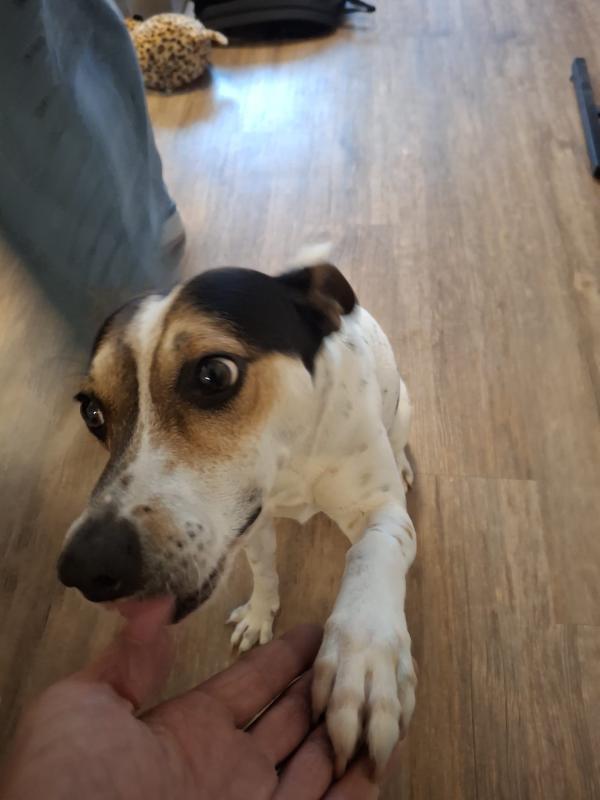 Max