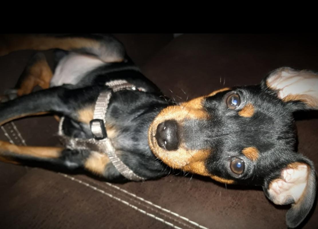 Benzo