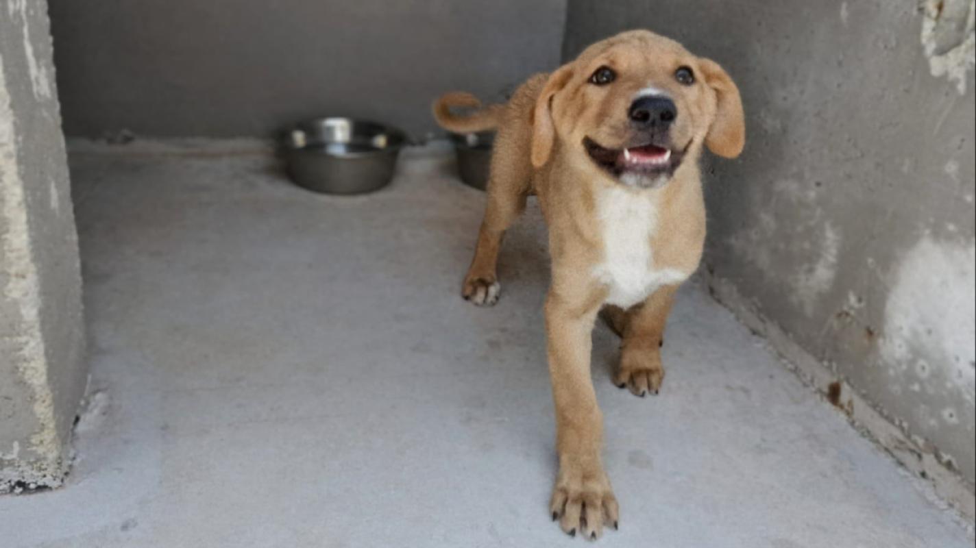 Charlie